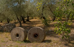 Montejaque, Andalusia 29360