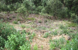 Calonge, Girona, Catalonia