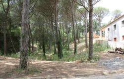 Calonge, Catalonia 17251