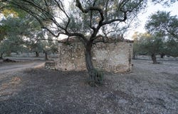 Mas de Barberans, Catalonia 43514