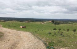 Valverde del Camino, Andalusia 21600