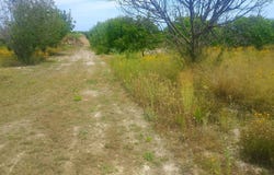 Bèlgida, Valencian Community 46868
