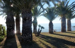 Alcanar, Catalonia 43530