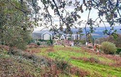 Estrada, Galicia 36687