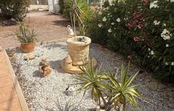 La Romana, Valencian Community 03669