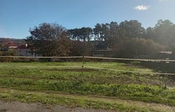 Vigo, Pontevedra