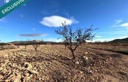 Monovar, Valencian Community 03640