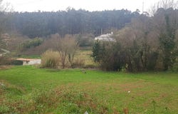Boiro, Galicia 15991