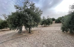 Illora, Andalusia