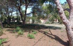 Cabo Roig, Valencian Community 03189