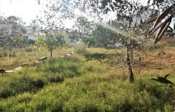 Cunit, Catalonia 43881