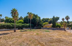 San Pedro, Andalusia 29679