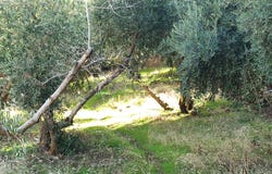 Güejar Sierra, Andalusia