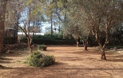 Parcent, Valencian Community 03792