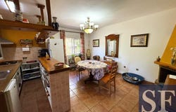 Sayalonga, Andalusia 29752