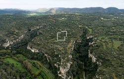 Ferreries, Balearic Islands 07750