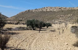 Pinoso, Valencian Community 03659