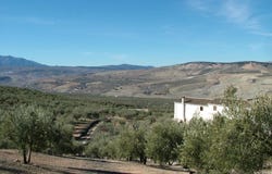 Granada, Andalusia 18001