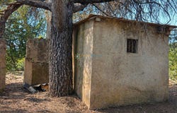 Bellús, Valencian Community 46839
