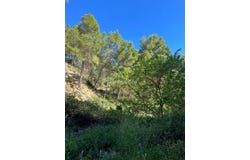 Altea, Alicante/alacant 03599