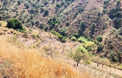Sedella, Andalusia 29715