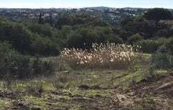 Sotogrande, Andalusia 11310