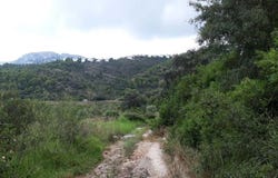 Dénia, Valencian Community