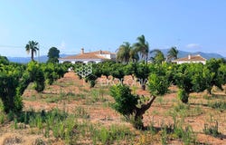 Bétera, Valencian Community 46117