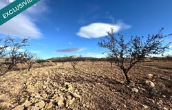 Monovar, Valencian Community 03640