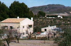 Elche De La Sierra, Albercete