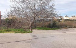 Sueca, Valencian Community