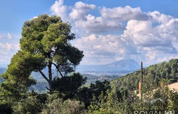 Barcelona, Catalonia 08017