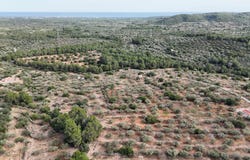 El Perello, Catalonia 43519