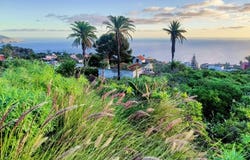 Breña Baja, Canary Islands 38711