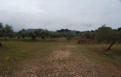 El Perelló, Catalonia 43519