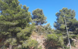 Calafell, Catalonia 43882