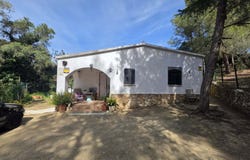Almoster, Catalonia 43393