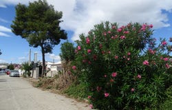 Teulada, Valencian Community 03725