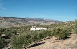Granada, Andalusia 18001