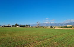 8 Carrer Comerç, Sa Pobla, Balearic Islands 07420