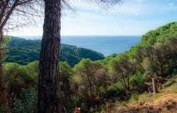 Lloret de Mar, Catalonia 17310
