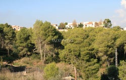 Jávea, Valencian Community 03738