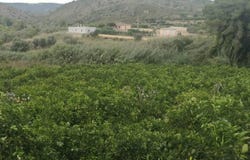 Sellent, Valencian Community 46295