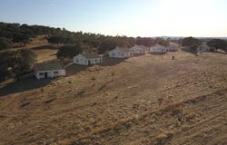 Calañas, Andalusia 21309