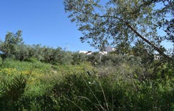 Los Gallardos, Andalusia 04280