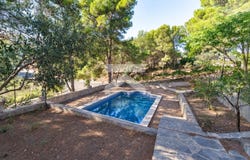 Almoster, Catalonia 43393