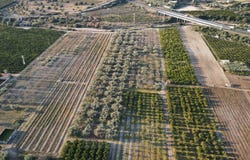 Vinaros, Valencian Community 12500