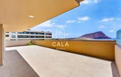 El Médano, Canary Islands 38612