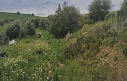 Cártama, Andalusia