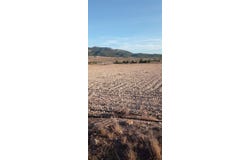 Salinas, Valencian Community 03130